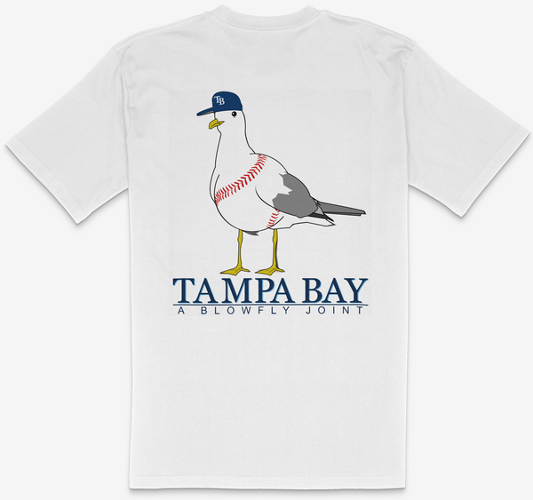 Tampa Bay Seagull