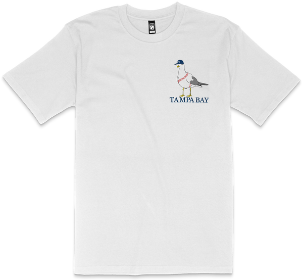 Tampa Bay Seagull